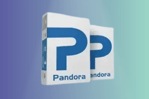 Pandora Tool { Digital } Login Rent ✅ 48 HOURS
